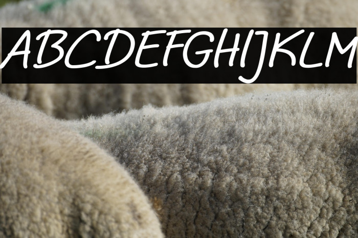 Noela Sherly Italic Example 2