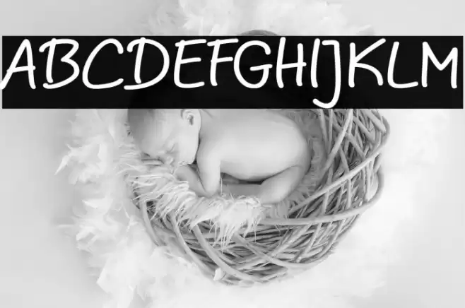 Noela Sherly Font examples