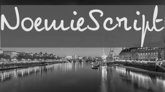 NoemieScript フォント examples