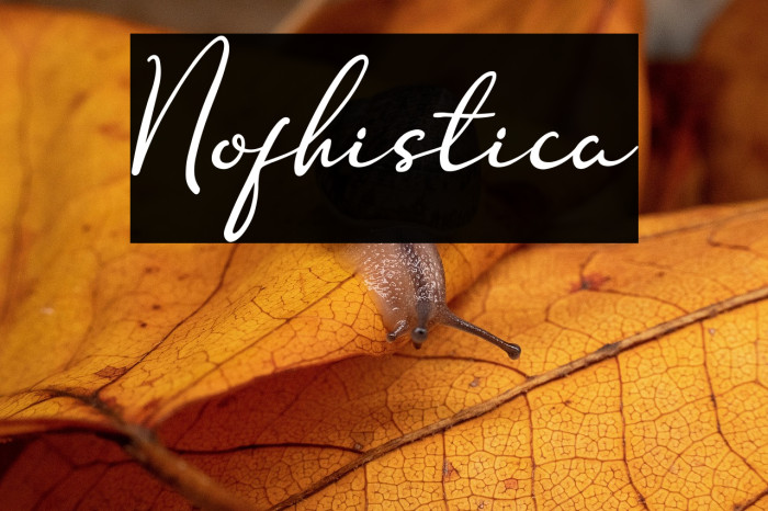 Nofhistica Example 3