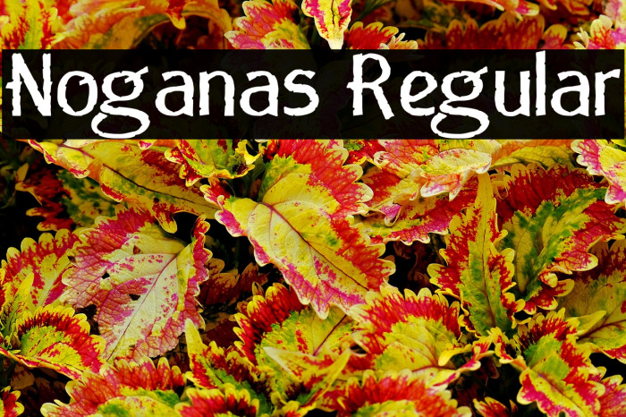 Noganas Regular Example 1