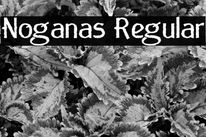 Noganas Regular Example 1