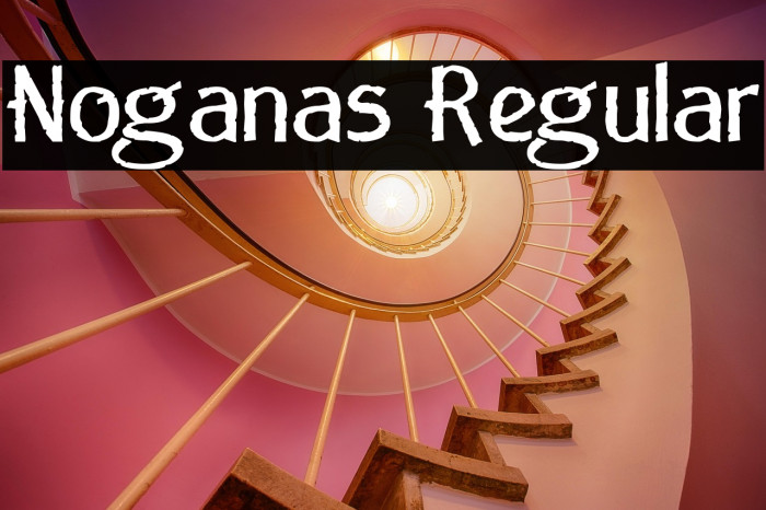 Noganas Regular Example 2