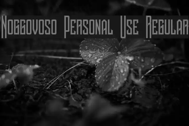 Noggovoso Personal Use Regular Font examples