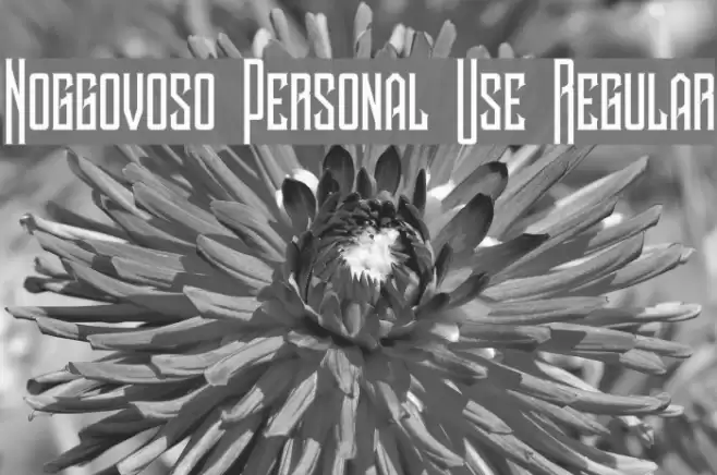 Noggovoso Personal Use Regular Font examples