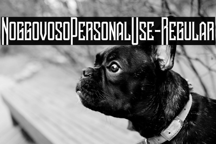 NoggovosoPersonalUse-Regular Example 1