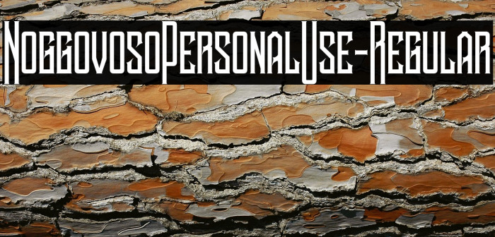 NoggovosoPersonalUse-Regular Example 2