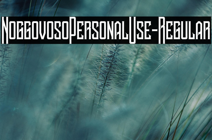 NoggovosoPersonalUse-Regular Example 3