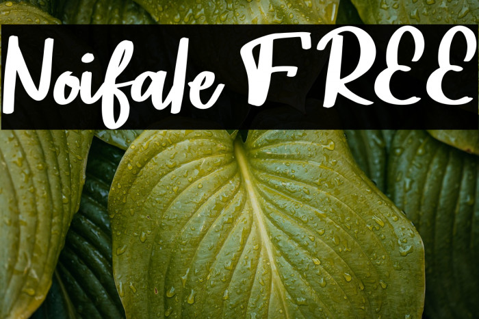 Noifale FREE Example 2