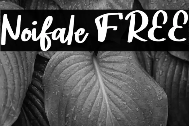 Noifale FREE Example 2