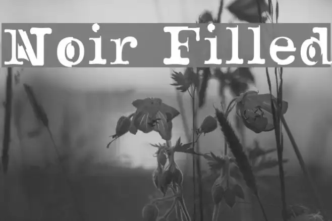 Noir Filled Example 3