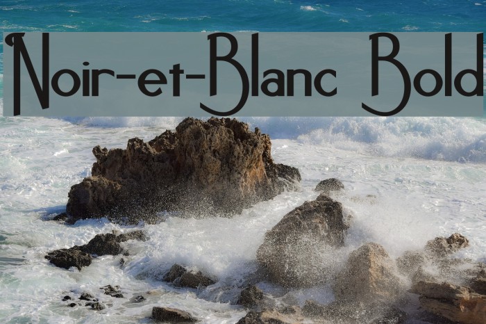 Noir-et-Blanc Bold Font examples