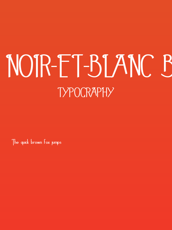 Noir-et-Blanc Bold Poster