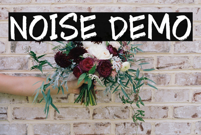 Noise Demo Example 1