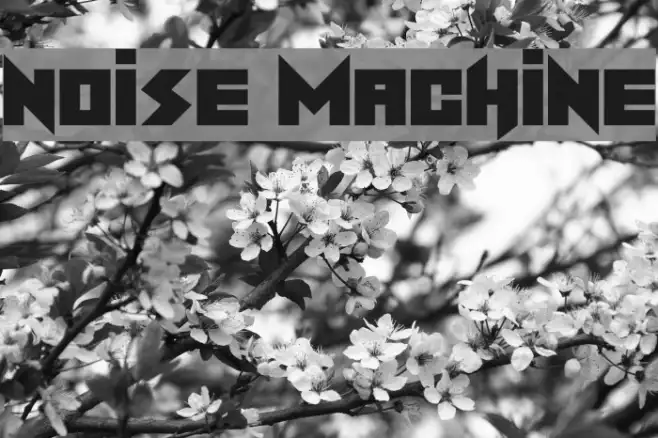 Noise Machine Example 1