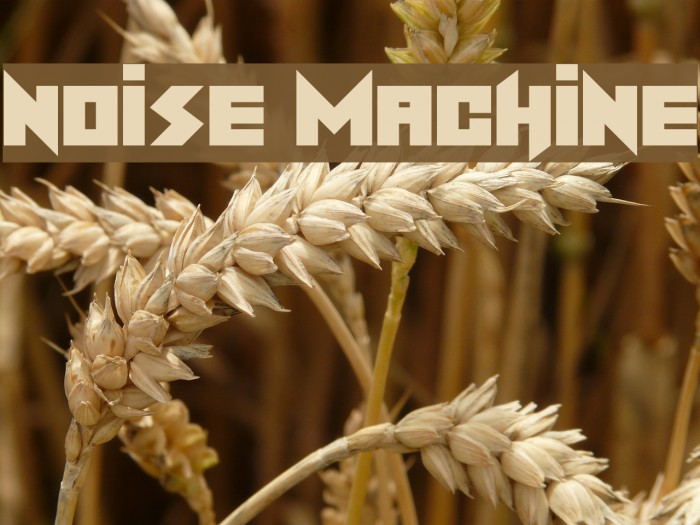 Noise Machine Font examples