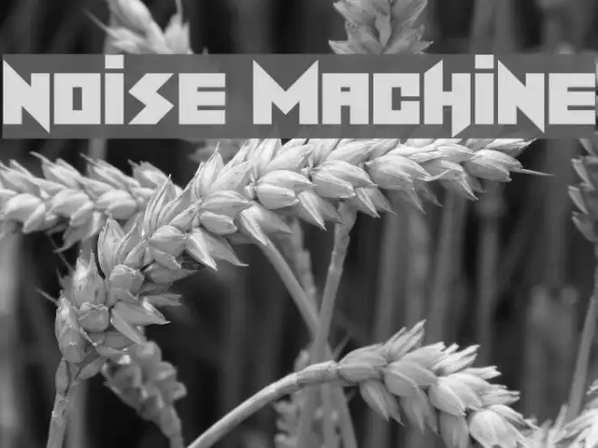 Noise Machine Example 2