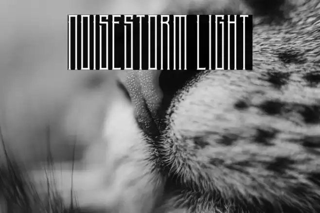 NoiseStorm Light Font examples