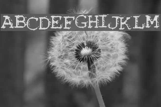 Noisebaby Шрифта examples