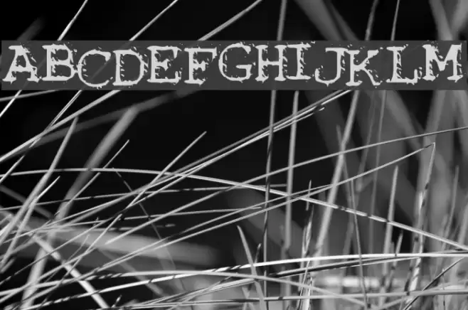 Noisebaby Шрифта examples