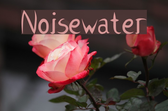 Noisewater Example 3