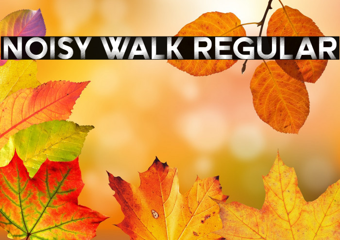 Noisy Walk Regular Example 1