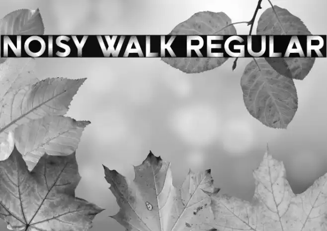 Noisy Walk Regular Example 1
