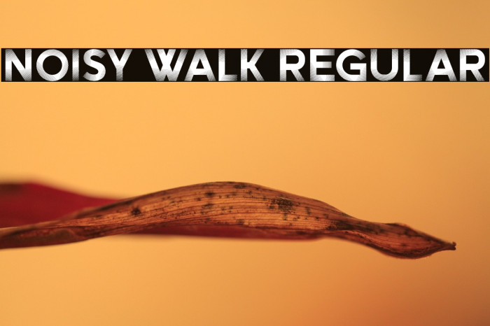 Noisy Walk Regular Example 3