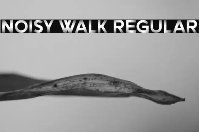 Noisy Walk Regular Example 3