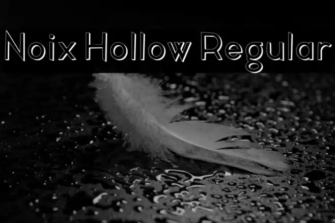 Noix Hollow Regular Example 1