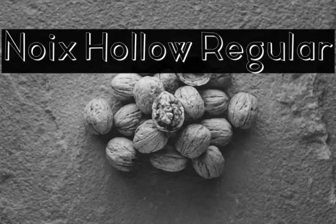 Noix Hollow Regular Example 2