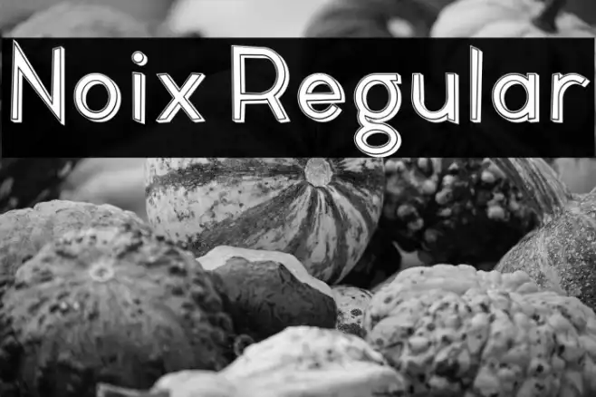 Noix Regular Example 2