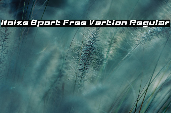 Noize Sport Free Vertion Regular Example 2