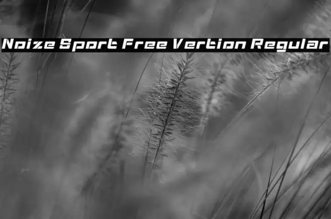 Noize Sport Free Vertion Regular Caratteri examples