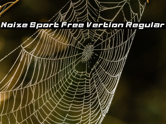 Noize Sport Free Vertion Regular Example 3