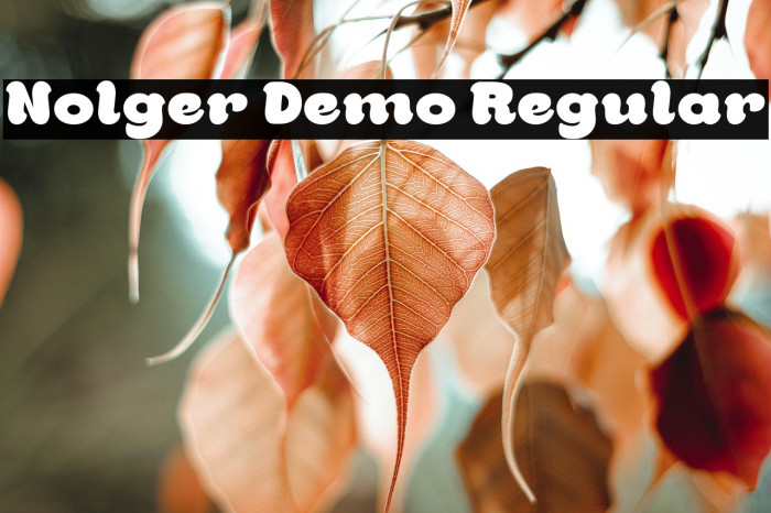 Nolger Demo Regular Example 1