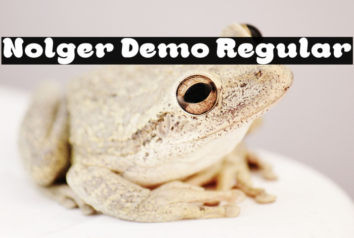 Nolger Demo Regular Example 3