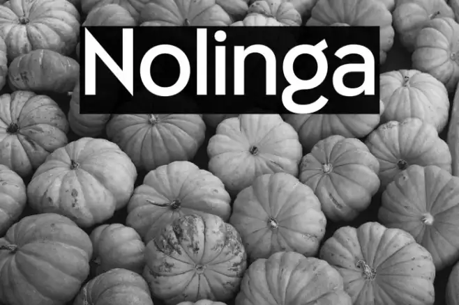 Nolinga Example 3