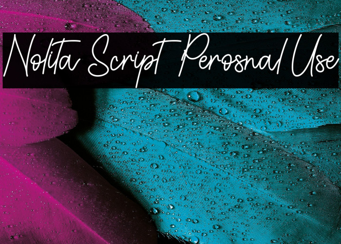 Nolita Script - Perosnal Use Example 1