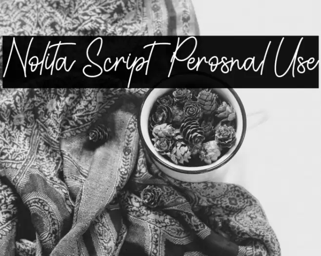 Nolita Script - Perosnal Use Font examples