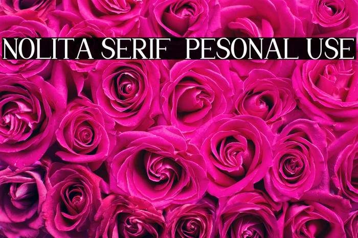 Nolita Serif - Pesonal Use Example 3