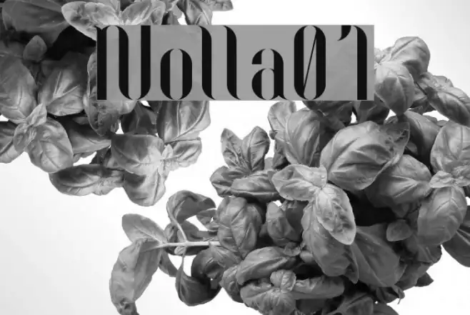 Nolla01 Example 1