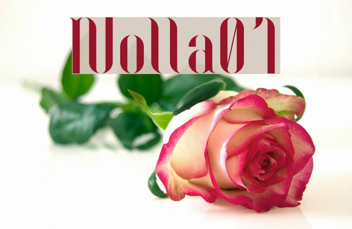 Nolla01 Font examples