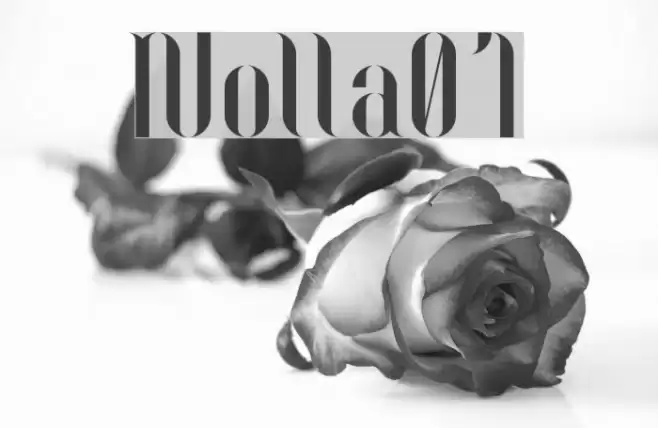 Nolla01 Fonte examples