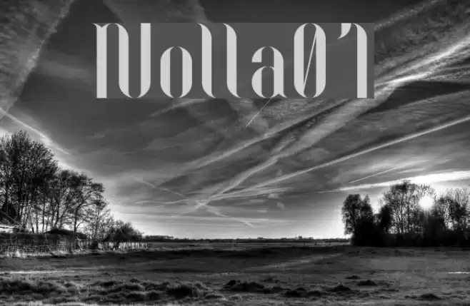 Nolla01 Fonte examples