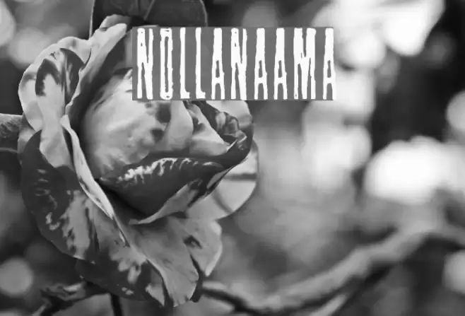 Nollanaama Font examples