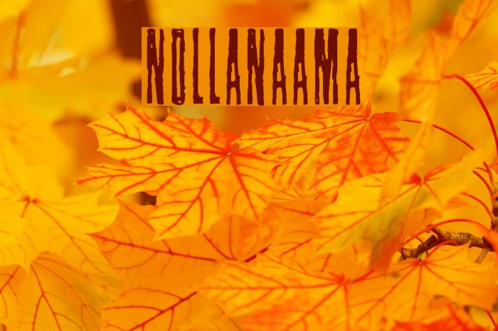 Nollanaama Example 1