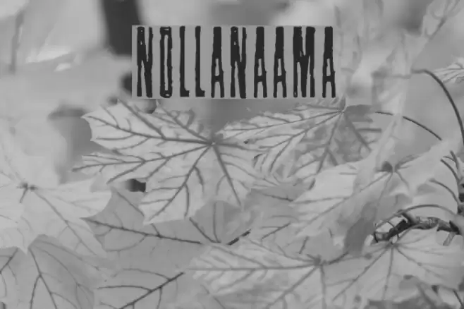 Nollanaama Font examples
