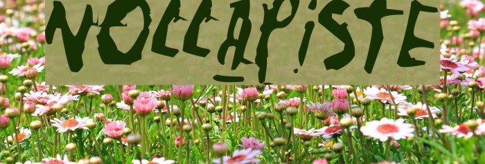 Nollapiste Example 2