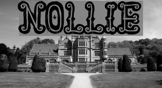 Nollie Font examples